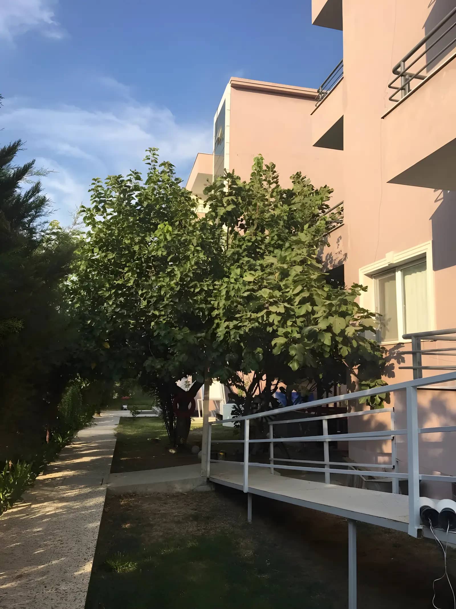Özel Yücel Yüksek Öğrenim Kız Ve Erkek Öğrenci Yurdu Görsel 4