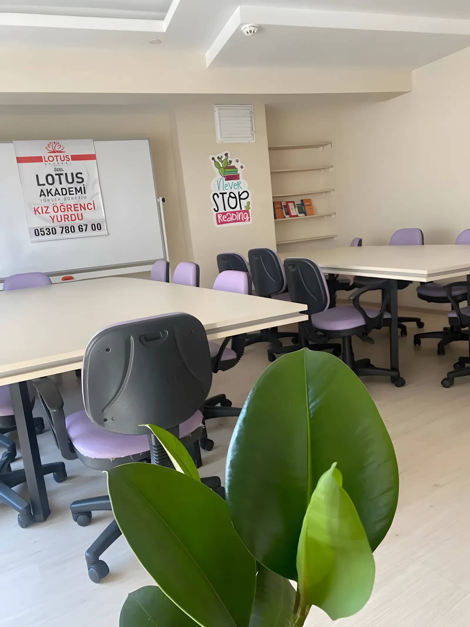 Özel Lotus Akademi Kız Öğrenci Yurdu Görsel 5