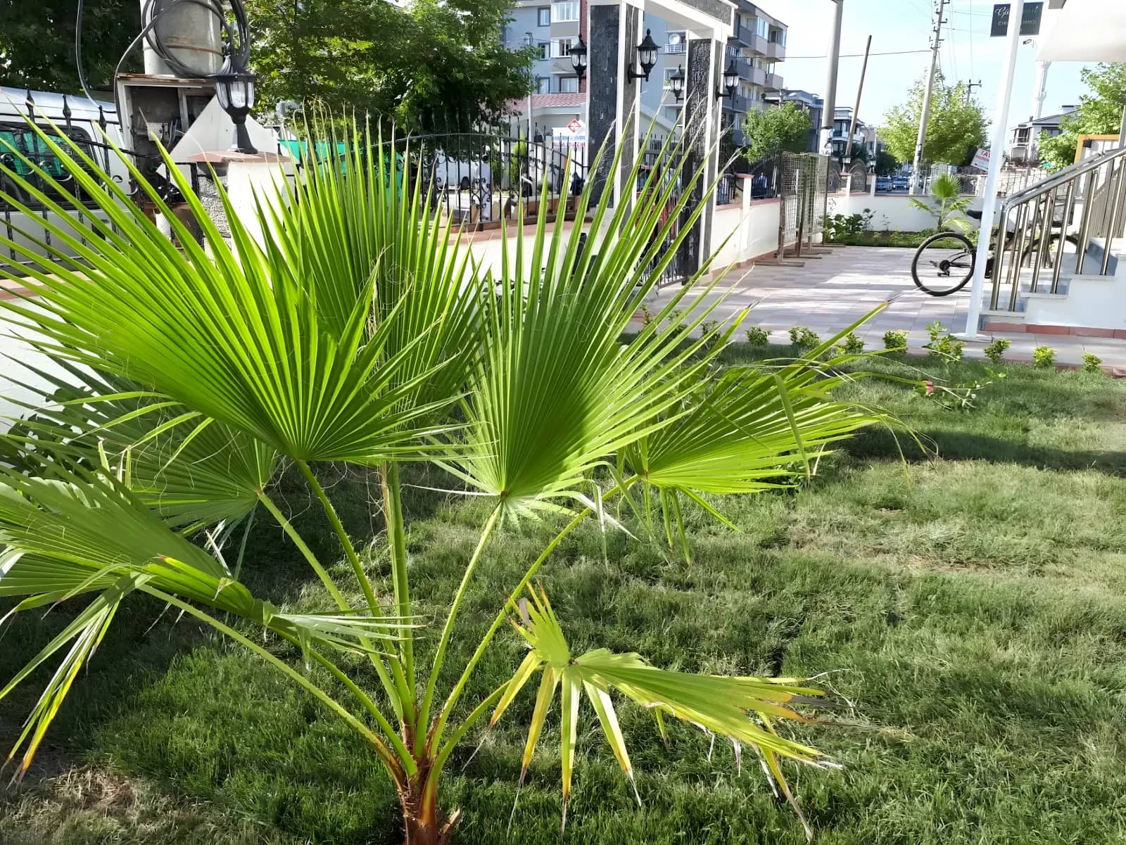 Yalova Park Erkek Öğrenci Yurdu Görsel 5
