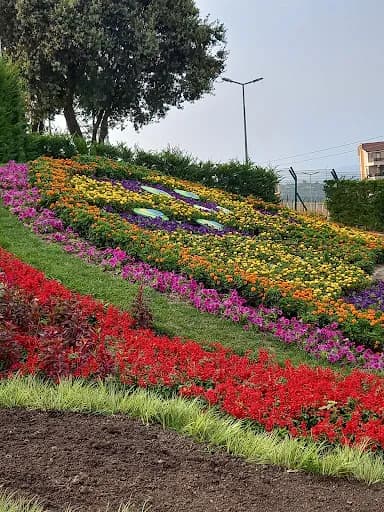 şaban b*** fotoğrafı 2