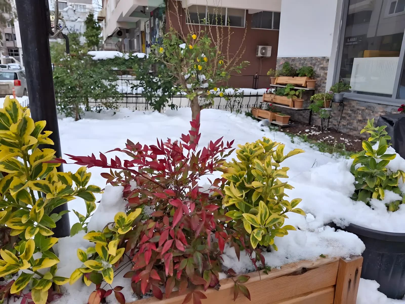 Özel Yıldız Kız Öğrenci Yurdu Küçük Resim 5