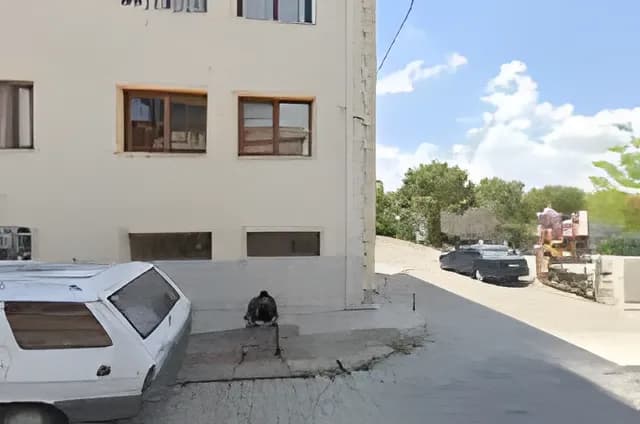 Özel Fatih Yükseköğrenim Erkek Öğrenci Pansiyonu Küçük Resim 3