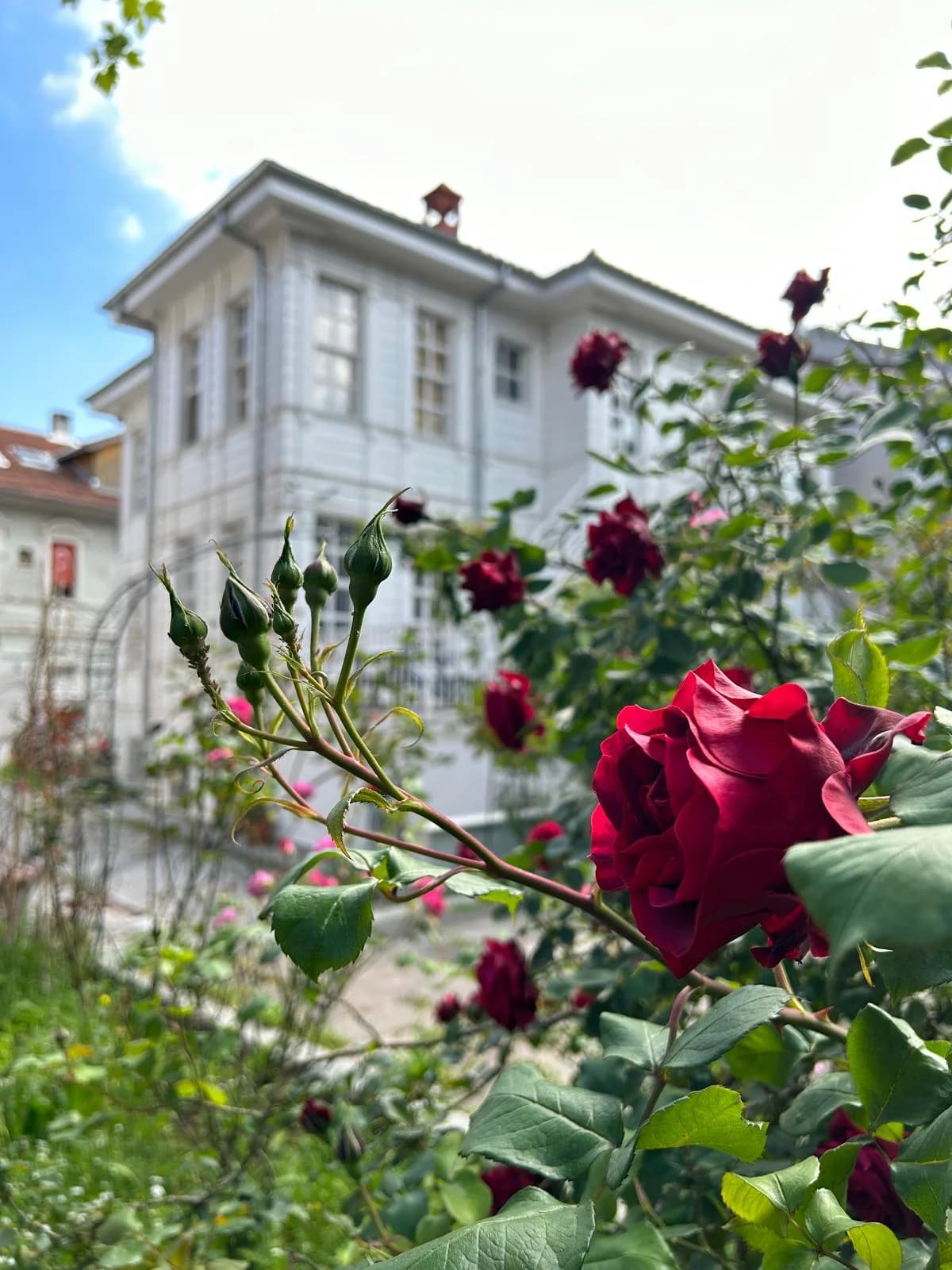 Ayşe Dursun Cühel Kız Öğrenci Yurdu | Erzincan Kültür Ve Eğitim Vakfı Küçük Resim 6