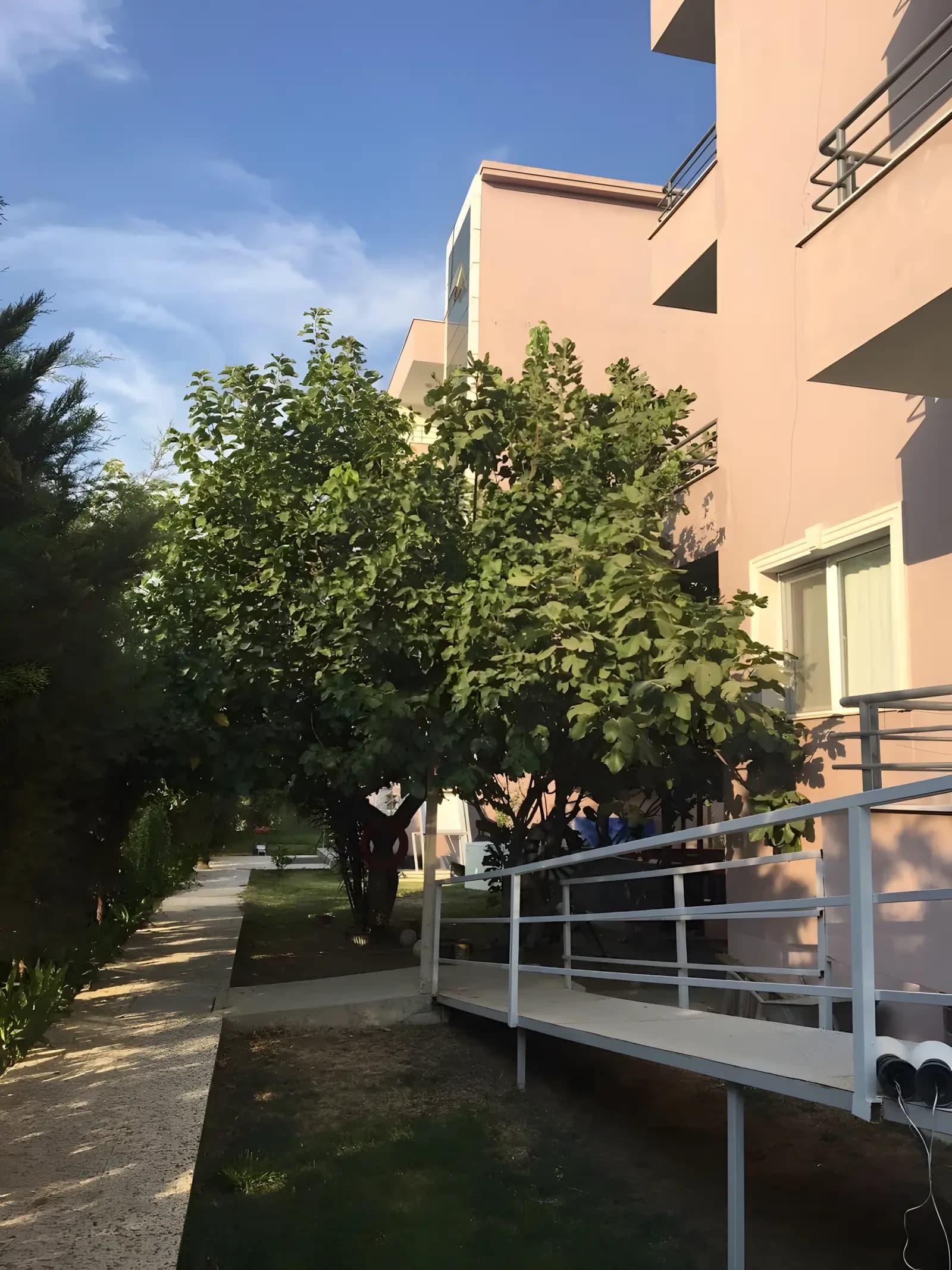 Özel Yücel Yüksek Öğrenim Kız Ve Erkek Öğrenci Yurdu Küçük Resim 4