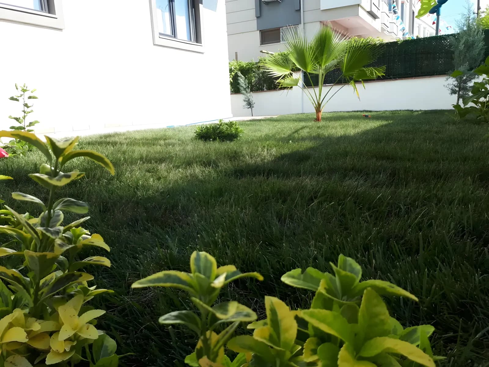 Yalova Park Erkek Öğrenci Yurdu Küçük Resim 3