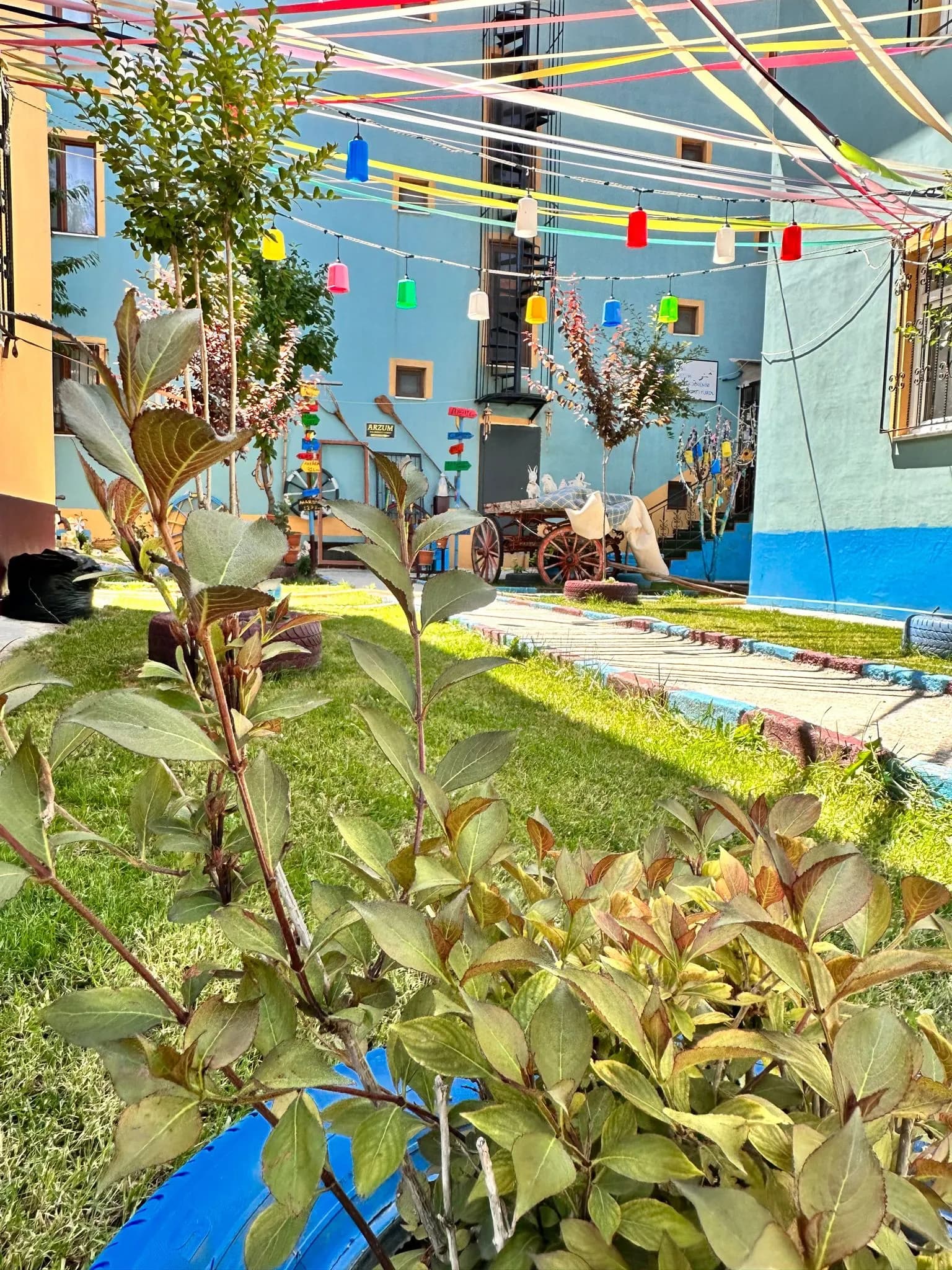 Altıntaş Arzum Kız Öğrenci Yurdu Küçük Resim 14