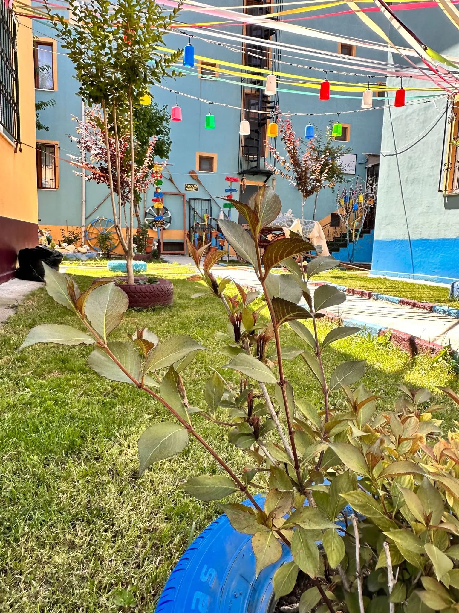 Altıntaş Arzum Kız Öğrenci Yurdu Küçük Resim 19