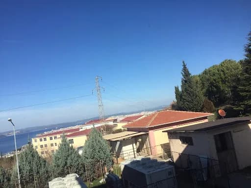 Mamoste Newzad Nevzat A*** fotoğrafı 5