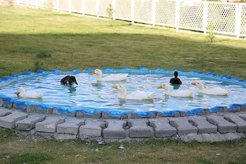 Niğde Milli Piyango KYK Erkek Öğrenci Yurdu Görsel 3